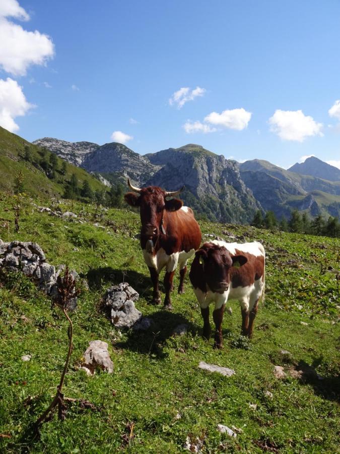 Malterlehen-Berchtesgaden Lejlighed Eksteriør billede