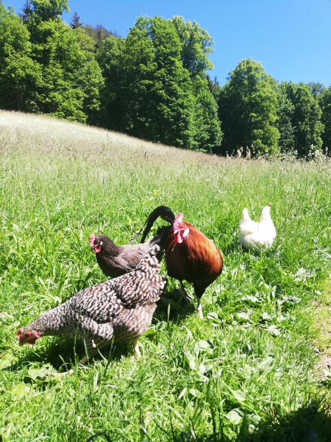 Malterlehen-Berchtesgaden Lejlighed Eksteriør billede