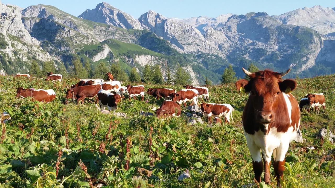 Malterlehen-Berchtesgaden Lejlighed Eksteriør billede